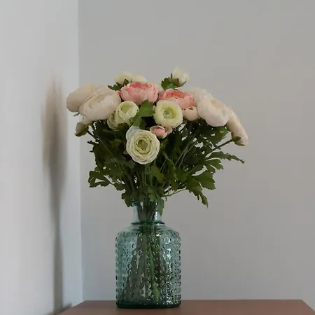 Apartment Le Petit Boulanger, Grand 70 M2, Garage Disponible